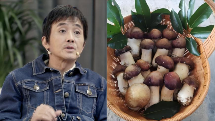 女子怀孕5个月被诊所当妇科病治疗,2025年港彩开奖结果查询直播,经济性执行方案剖析_破例版V9.31